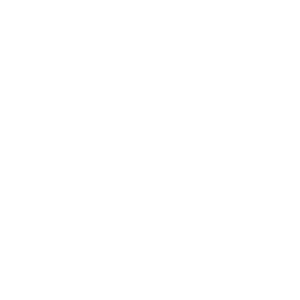 lem-logo